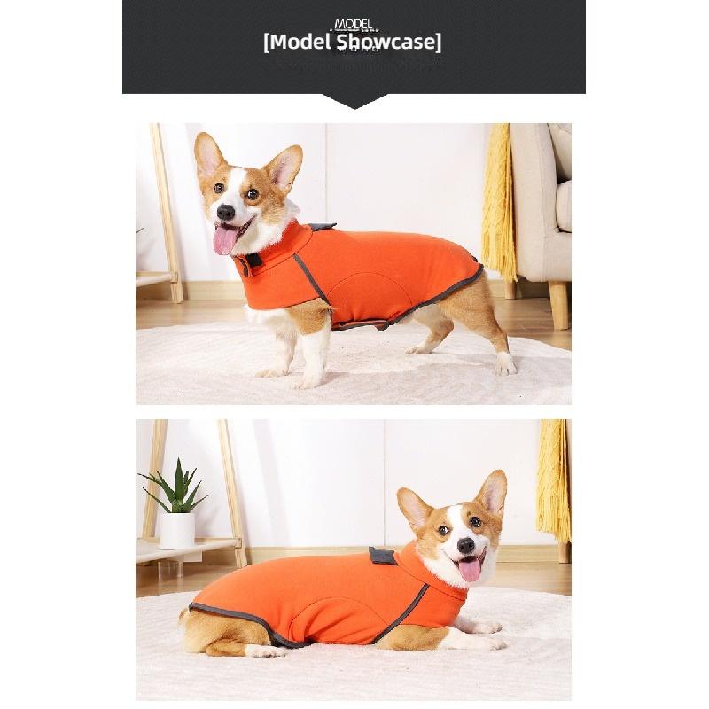 Autumn Winter New Dog Sweatshirt Turtleneck Fleece Lined Warm Cotton Coat Soft Home Wear Pet Clothes For Small Medium Dogs