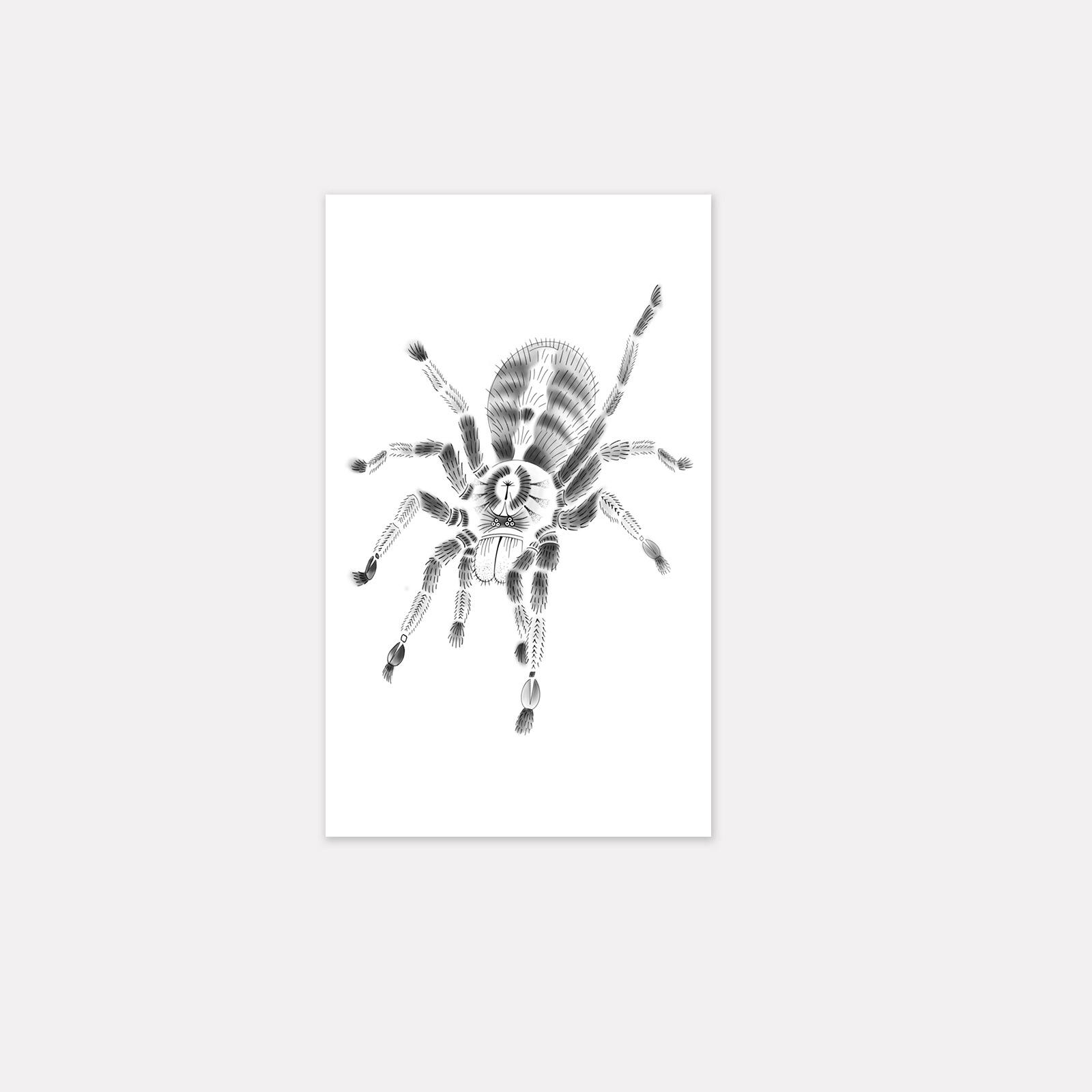 

Realistic Bird-Catching Spider Tattoo Sticker, Waterproof And Long-Lasting, Dark Cool Wind, Male And Female Arm Tattoos 9*15