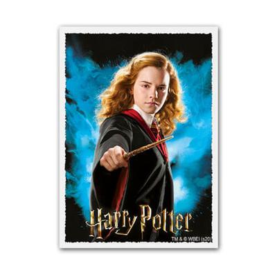 Dragon Shield Matte Art Sleeves Box of 100 (Hermoine Grangr)