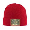 Avatar The Last Airbender Map Warm Knitted Cap Hip Hop Bonnet Hat Autumn Winter Outdoor Beanies Hats for Unisex Adult
