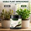 Ammendante per Terriccio Piante 120g Potenziatore Nutrizionale Biologico Cura di Radici e Terreno Rivitalizza il Terreno Energizza la Crescita Adatto per Piante da Interno ed Esterno