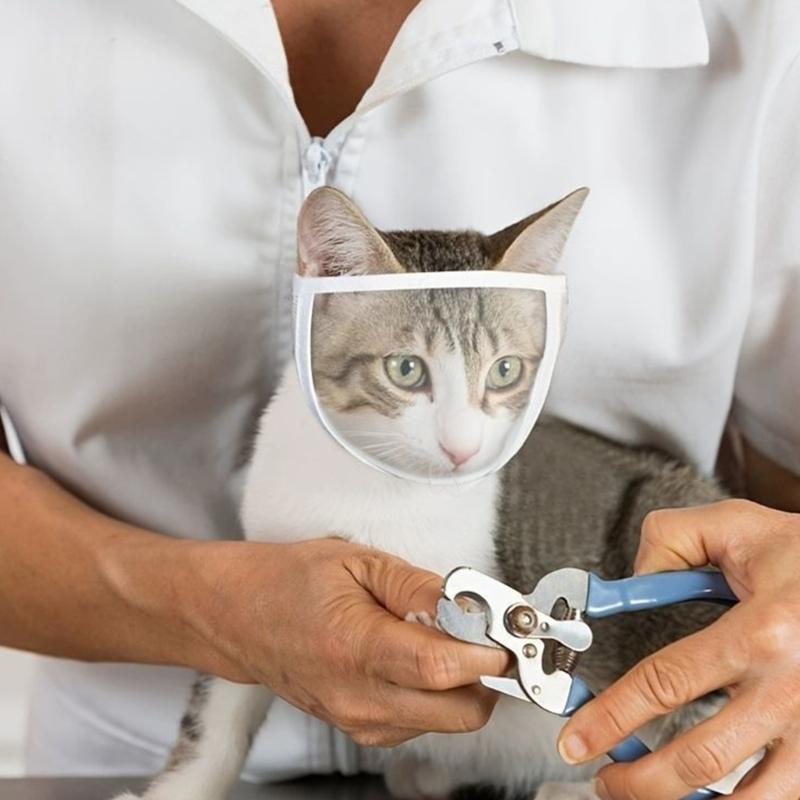 Cats Muzzle for Grooming Breathable Transparent Face Guard Mouth Cover Prevent from Cats Biting Chewing Trimming Bathing