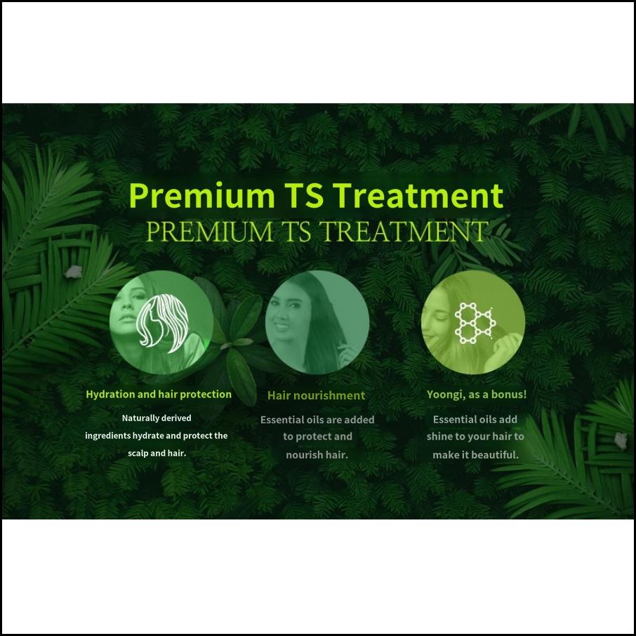TS Premium Hair Treatment 200ml / 500ml