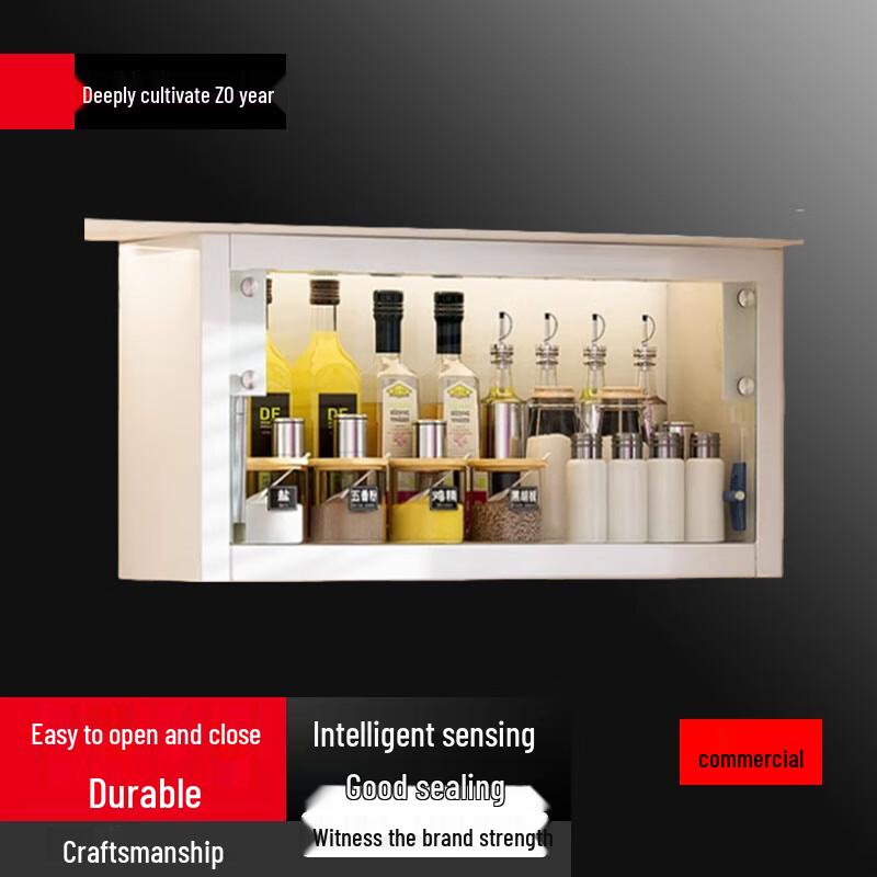 Wall-Mounted Multi-functional Spice Storage Cabinet