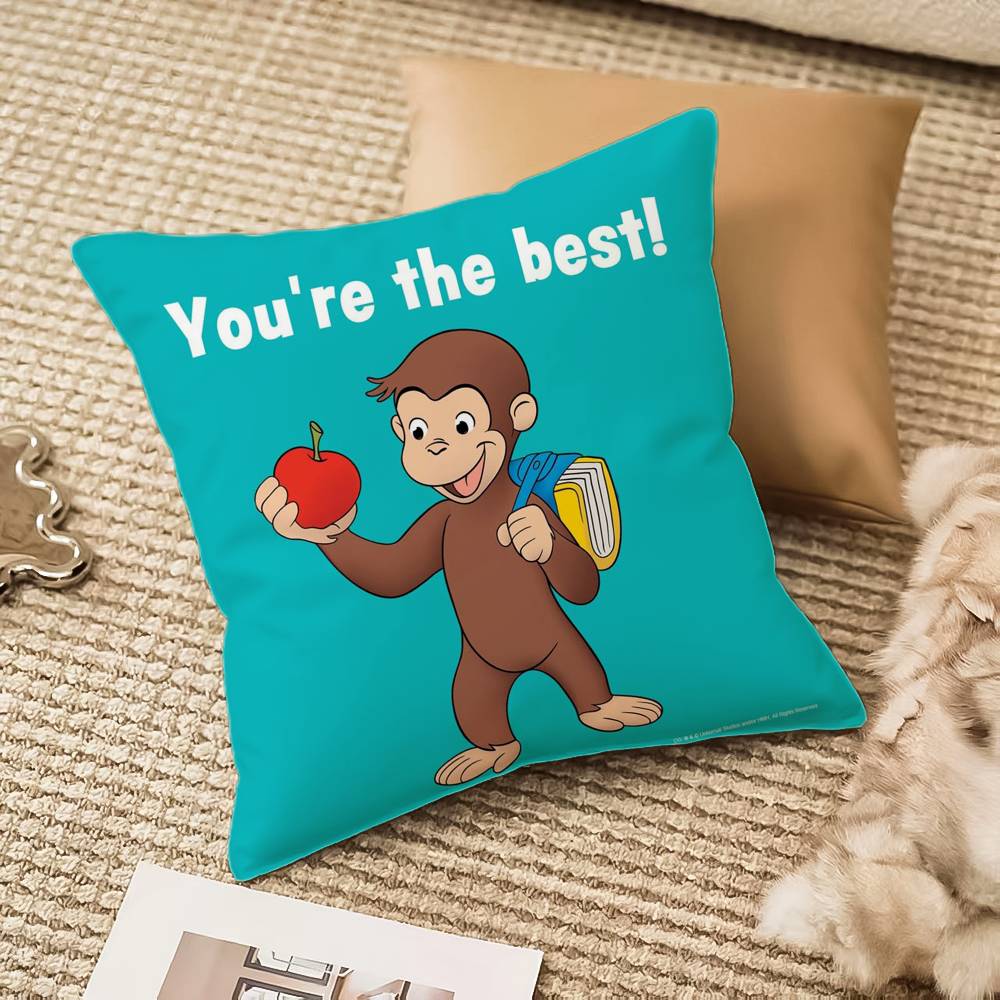 Curious G-George Cartoon Pillow Case Anti-dustmite Invisible Zipper Sofa Bed
