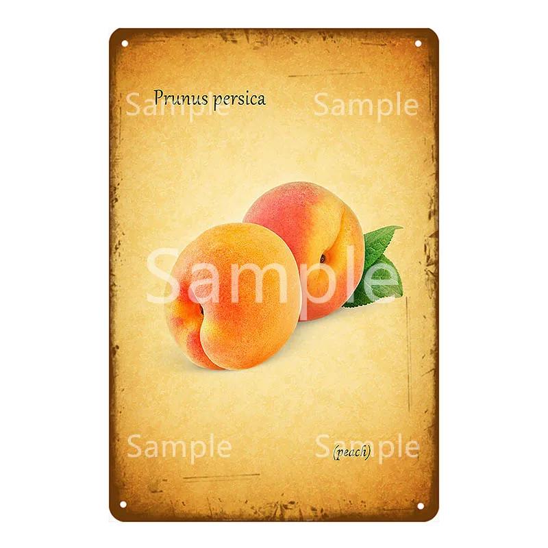 Thatchers Plaque Früchte Bananen Metallschild Vintage Bauernhof Dekoration Heimdeko Wandaufkleber Ladenmalerei Restaurant Poster YL168