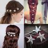 6 Pcs Starfish U Shape Braid Headwear Wedding Party Hairpin Hair Accessories