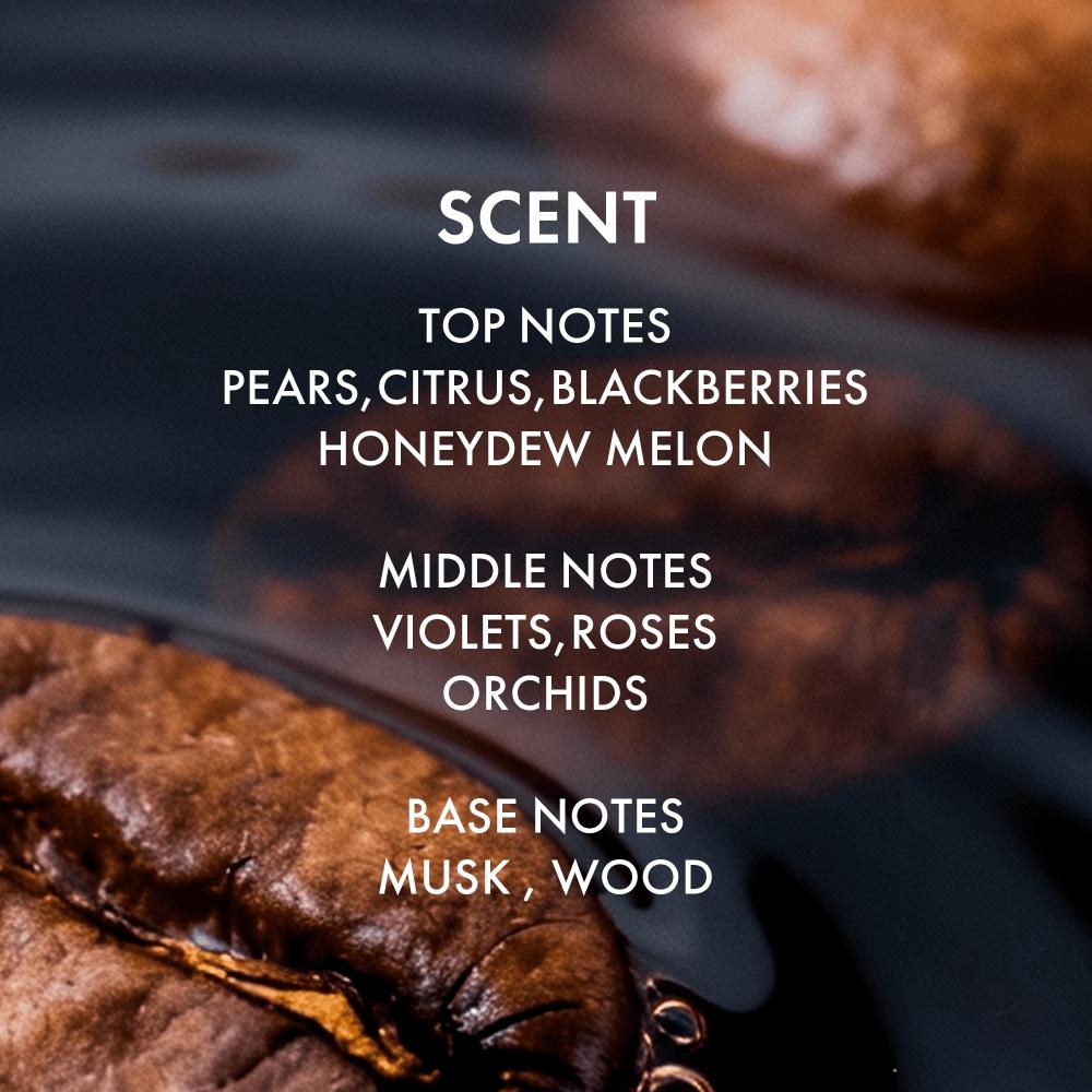 Alfheim Coffee+ Thickening Shampoo 33.8 Oz  Caffeine Biotin Volumizing Shampoo