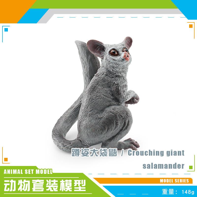 Realistic Forest Animal Models Set Including Hamster Snail Sugar Glider Mouse Meerkat Anteater For Kids Educational Playtime Fun