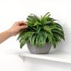 Artificial Boston Fern Foliage With Durable Silk Material For Event Decoration And Photography Props