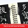 Huaxia WanJuan Classic Chinese Brush Calligraphy Copybook