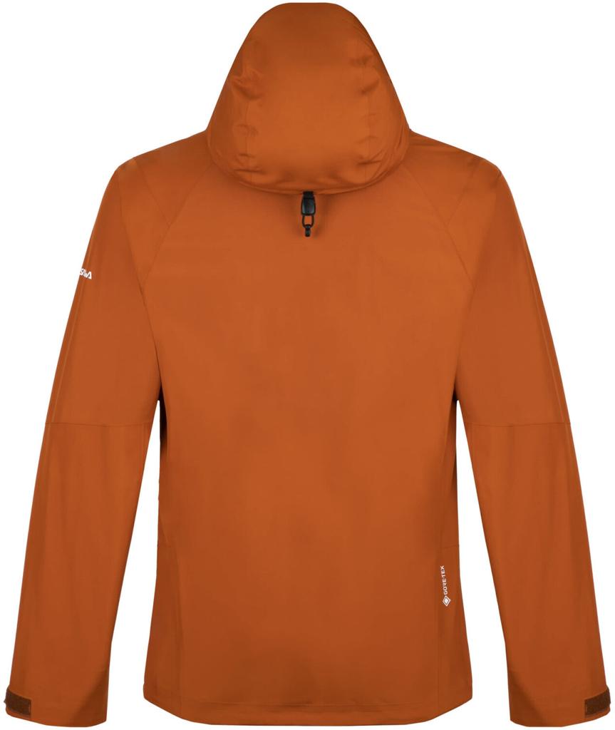 Men's Salewa Puez Gore-Tex Paclite Jacket Autumn