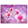 Canvas Print, Orchid Flowers Abstraction
