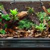 Snake Climbing Rings, Ball Python Enclosure Enrichment Ring, Ball Python Tank Accessories, Reptiletank Cage Decor Climbing Accessories for Corn