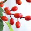 Fake Berry Plant Anti-fading Decorative Realistic Looking Beautiful Living Room 3-fork Artificial Bean Branch Flower for Household