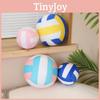 Simulation Printed Volleyball Plush Toy Children Stuffed Pillow Gift Decoration