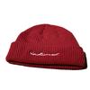 New Autumn and Winter Warm Knitted Wool Hat Women's Fashionable Warm and Cold Proof Pullover Cold Hat Student Cycling Ear Protection Hat