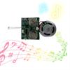 4MB Programmierbares USB-Upload-MP3-Soundmodul Lichtaktiviertes Soundmodul mit Aufkleber für Geschenkbox oder Gehäuse