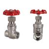Fengzhi 304 Stainless Steel Internal Thread Manual Gate Valve
