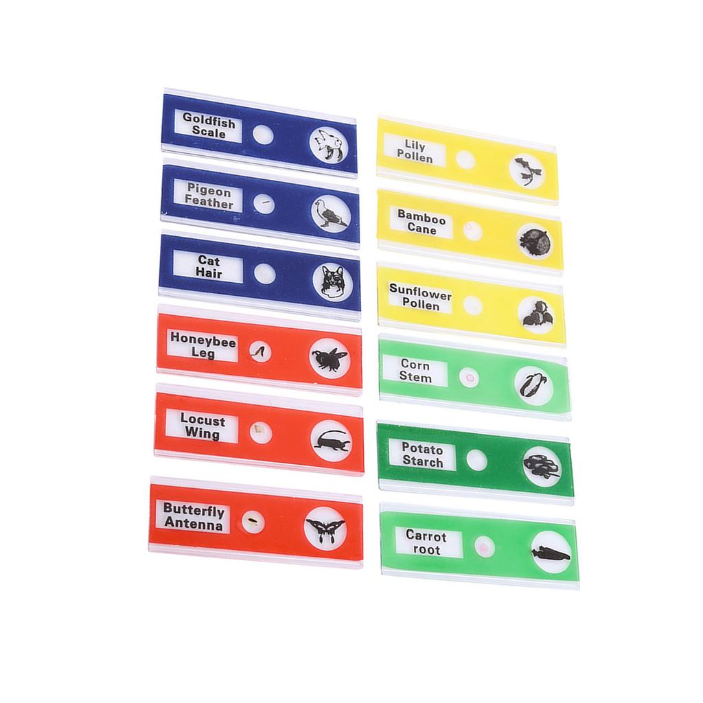 12pcs Plastic Prepared Microscope Slides Animals Insects Flowers Plants Mix Color