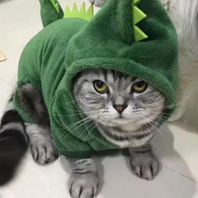 Ropa para perros y gatos de Halloween para perros pequeños, disfraz divertido de dinosaurio para cosplay, abrigo cálido de invierno para gatos, sudaderas con capucha de forro polar