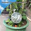 Set of 4 Watering Bulbs for Indoor Pots, Large Capacity Glass Slow Watering Globes with Ribbed Design for Balcony Flowers
