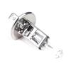 H1 55W 12V White Fog Lights Halogen Bulb Car Headlight Lamp Car Driving Light