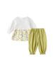 Floral Baby Girl 2-Piece Set: Long Sleeve Top & Pants for 0-6 Years