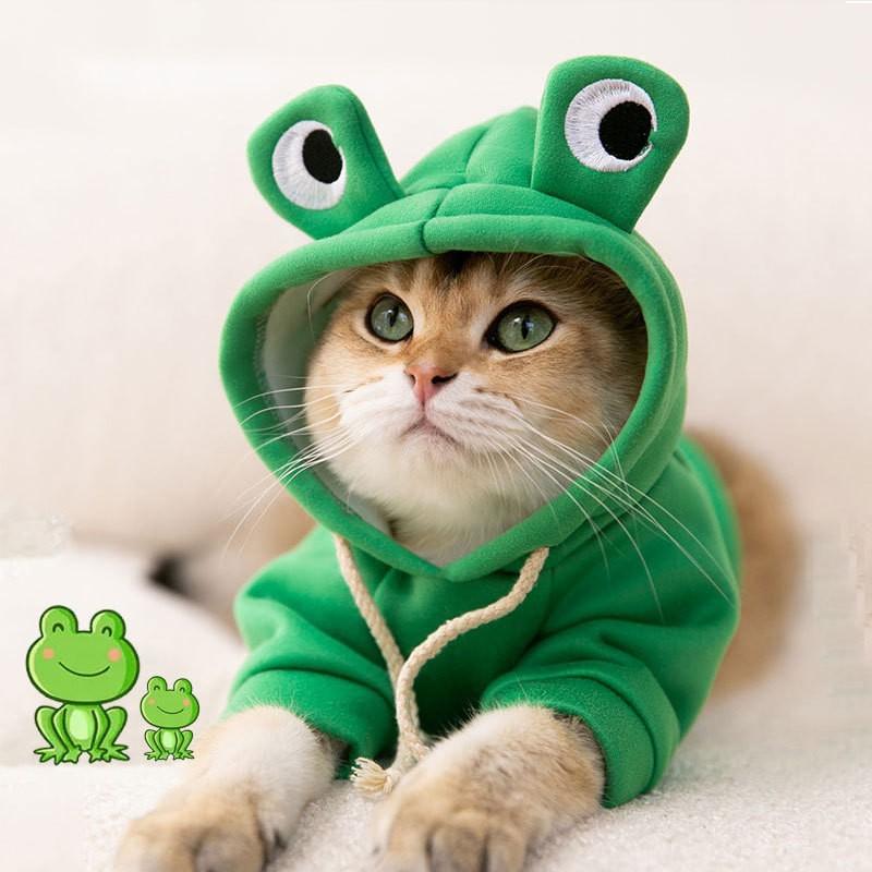 Pet Clothing Winnie The Pooh Transformed Into Dog Sweatshirt Thin Cat Two-legged Small and Medium-sized Dog Funny Clothes
