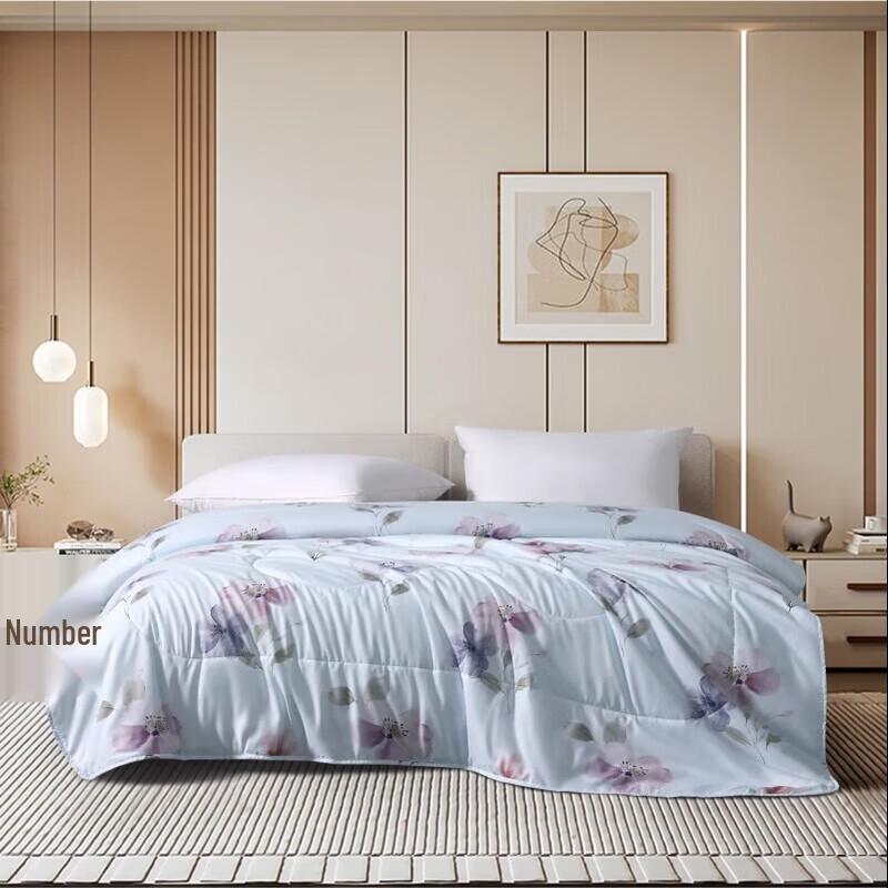 Boyang Class A Antibacterial Washable Summer Quilt