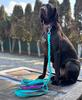 Dog Leash with Shock Absorber, Short Adjustable, with Handle, 280cm, TURQUOISE, AMOhand, Fasten