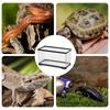 Water Turtle Tank Turtle Cage Bottom Drainage Aquarium Terrarium For Tortoise Hermit Fish Amphibians Snake Gecko Chameleon Frog