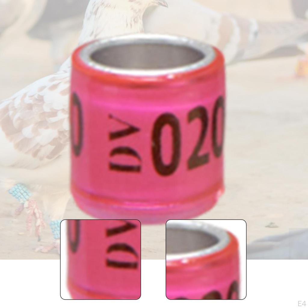 100 Stück Aluminium Taubenbeinringe Identifikationsbänder Taube für Unzertrennliche