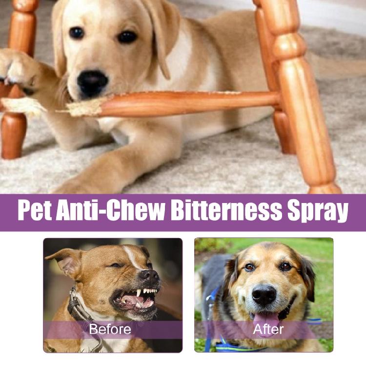Hunde-Beruhigungs-Pheromon-Spray 50 ml für Tierarztbesuche und stressige Ereignisse
