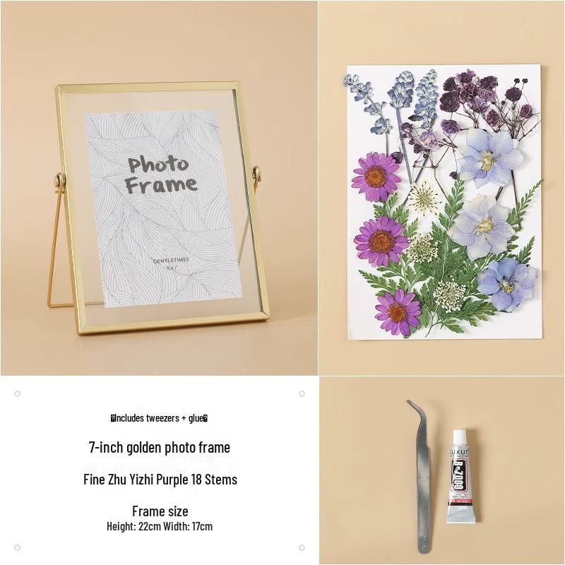 Nordic Creative DIY 3D Dried Flower Frame Kit - Simple Metal & Glass with Glue
