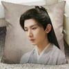 Cheng Yi Zeng Shunxi Xiao Shunyao Poster Double-sided Printed Pillowcase Mysterious Lotus Casebook Home Car Decor Cushion Cover