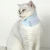 Mesh Cat Recovery Collar Soft Pet Anti-lick Collar Pet Wound Recovery Collar  Allergy Prevention