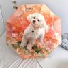 Pink Bichon pattern, automatic folding umbrella, portable and foldable design, 8 ribs, a Christmas or birthday gift.
