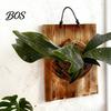 Easy Hang Plant Mount Staghorn Fern Mounting Kit Wooden Board Hanger Rustic Wall Decorative Planter for Ferns Orchids Air Plants Indoor Outdoor Decor