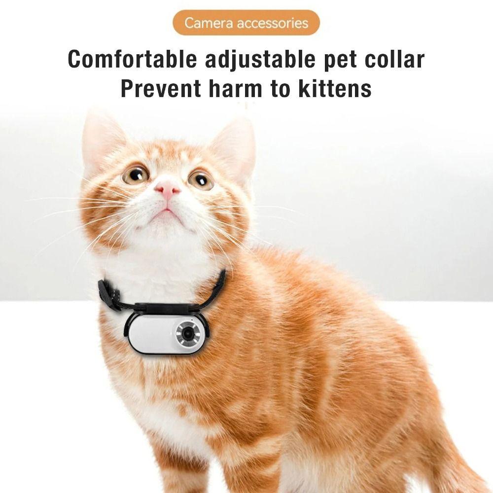 OTG Connection Dog Collar Camera 120 Deg Lens Video Recording Camera New Pet Collar Camera