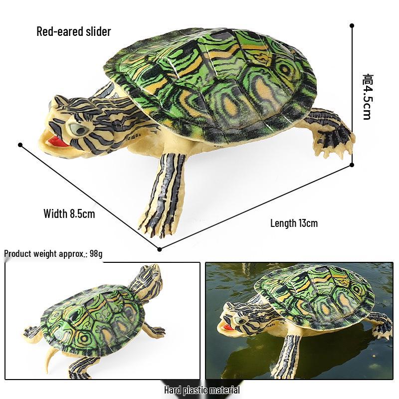Children's Cognitive Marine Animal Models: Sea Turtle and Tortoise Toys