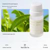 Aromatherapy Crystal Stones Flameless Diffuser Gift Box - Long-Lasting & Luxurious Fragrance Ornament
