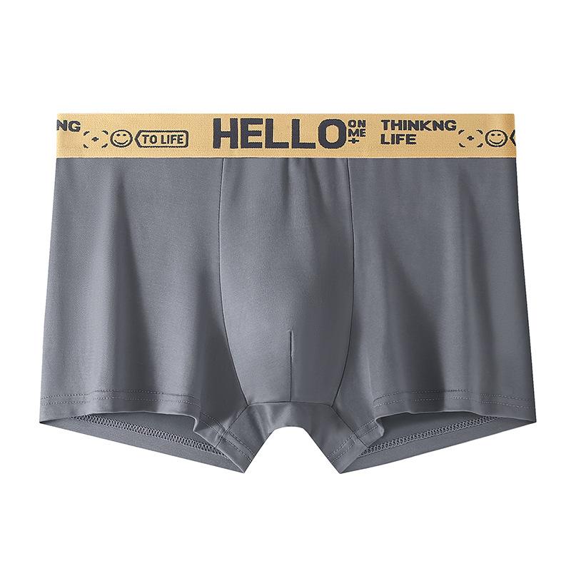 Large Size Men Spring Summer New Youth Middle Waist Flat Angle Underwear