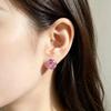 Сережки – Сережки гвоздики