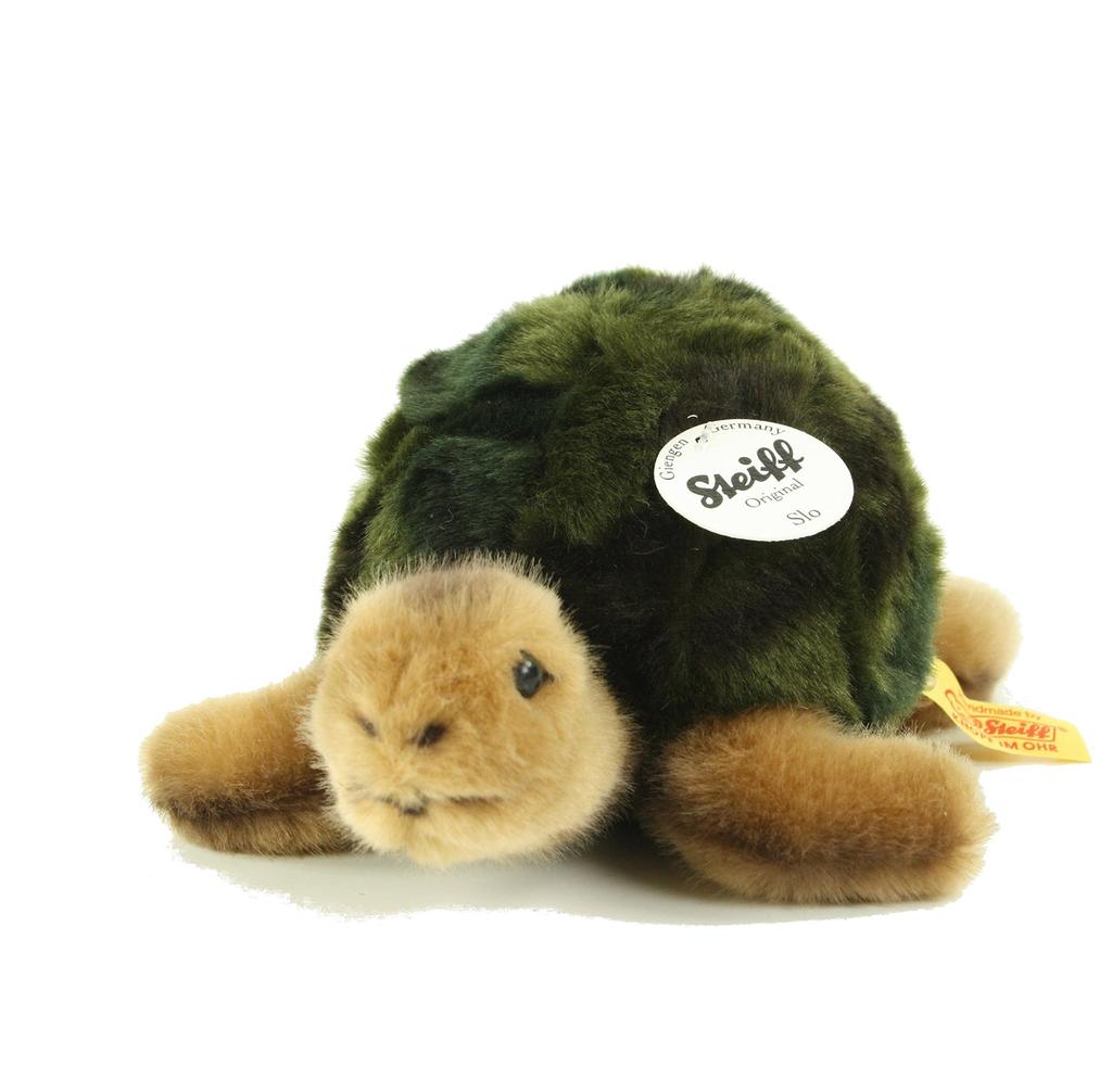 Solo Turtle 20cm Plush Toy