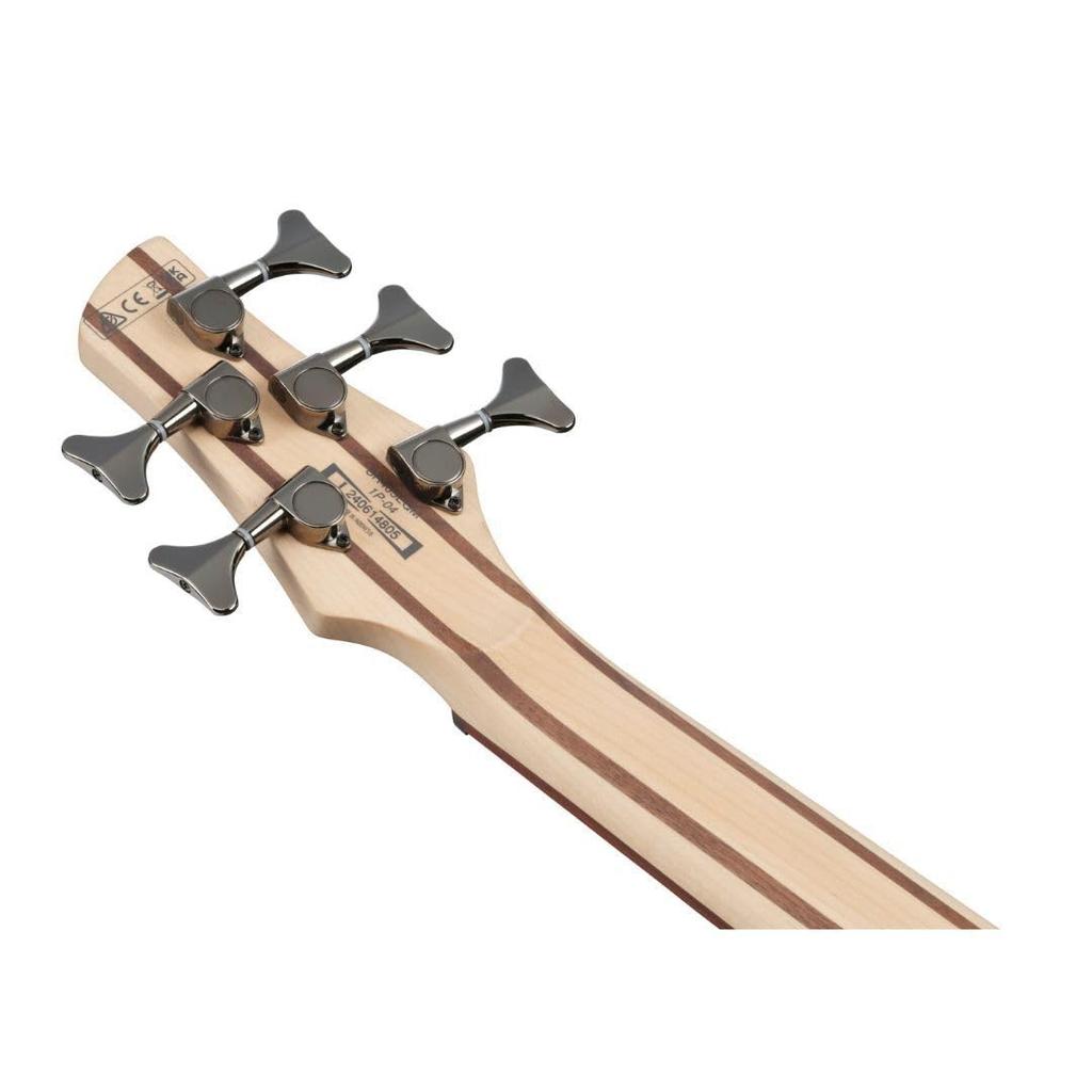 IBANEZ Cosmic Blue Ibanez / SR405EQM-SCB (Farget stjerneeksplosjon) [5-strengs bass]