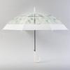 vinyl rain 60cm x 8 automatic opening umbrella Botanical x White Umbrella, umbrella, umbrella, ribs, printed, women's, one-touch [LIEBEN-0643]