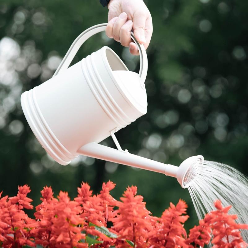 2L/4L Capacity Watering Can for Plant Watering Can for Indoor Outdoor Gardening Watering Pot with Ergonomic Handle
