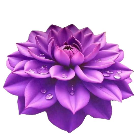 

Килимок для підлоги 3D Сукуленти, 80/100 см, Нековзкий, Поглинаючий, Швидковисихаючий, Плюшевий, Для вітальні, спальні, ванної кімнати, кухні, Декоративний килим 80cm E