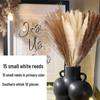 Nordic Style Dried Flower Bouquet: Mixed Arrangement with Small Reeds, Bunny Tail Grass, and Duster for Home Decoration.